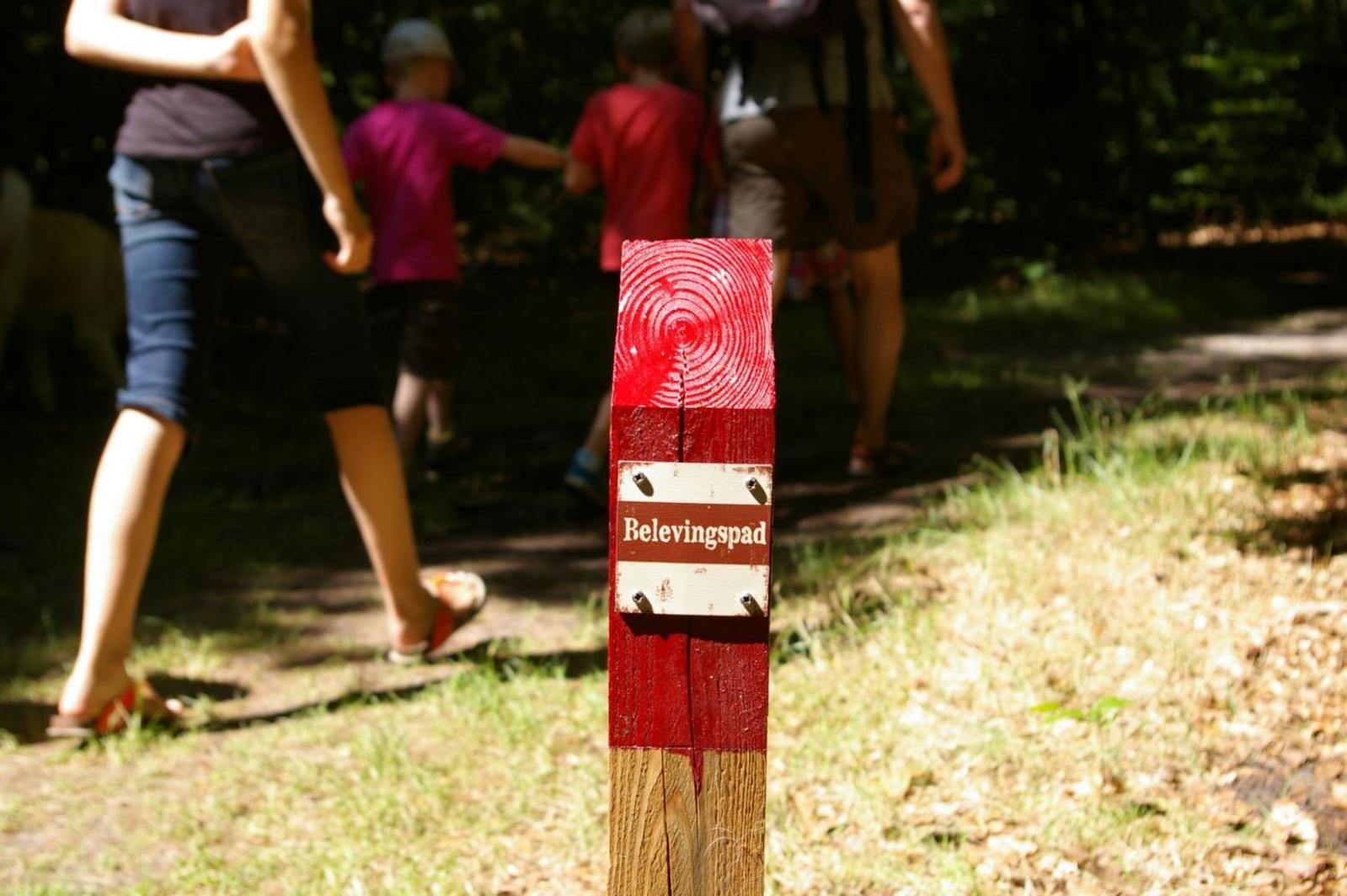 Camping De Reeenwissel Hoogersmilde Ngoại thất bức ảnh